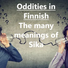 Oddities in Finnish - The many meanings of Sika